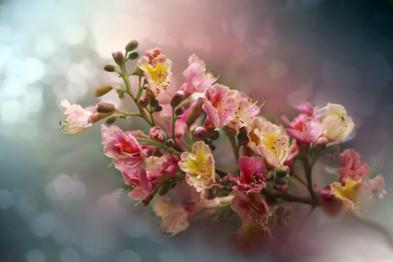 Riceville Utility District